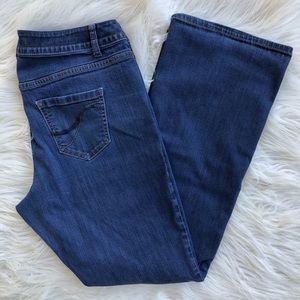 Lane Bryant Genius Fit Jeans